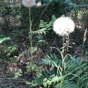 Meet your Posher, Mia